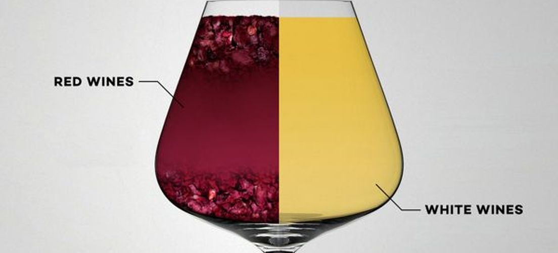 Quali sono le differenze tra Pinot Nero, Pinot Bianco, Pinot Grigio e Pinot Meunier?