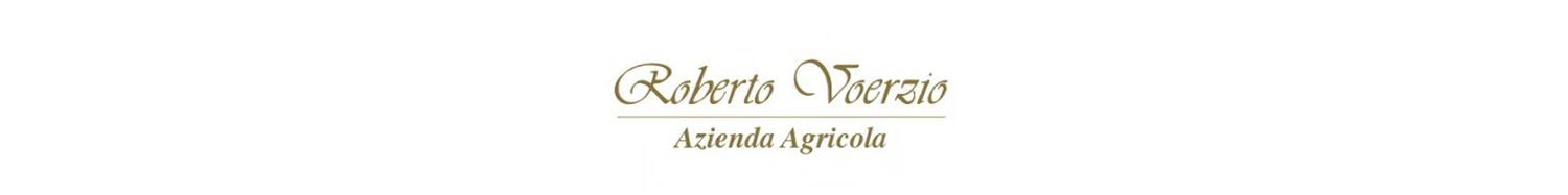 Roberto Voerzio
