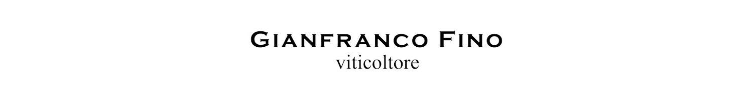 Gianfranco Fino
