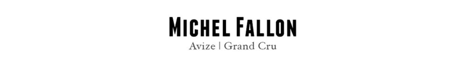 Michel Fallon