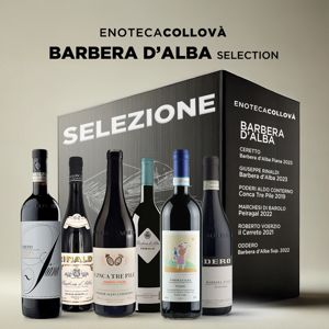 Barbera d'Alba SELECTION Enoteca Collovà