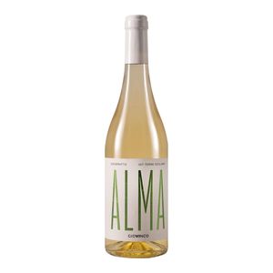 Alma Catarratto 2024 Giovinco