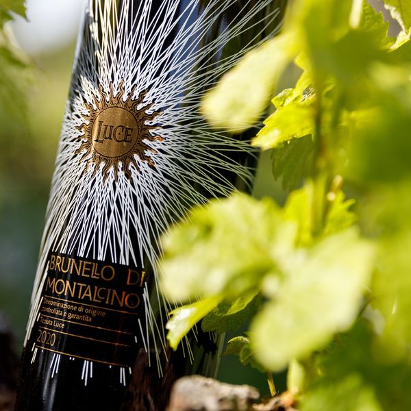 3. Luce Brunello 2020 Tenuta Luce della Vite 