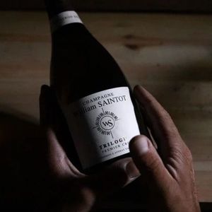 2. Trilogie Premier Cru 2022 William Saintot 