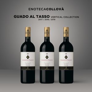 Guado al Tasso Verticale 2017 - 2019 Marchesi Antinori