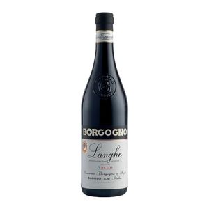 Ancum Dolcetto 2023 Borgogno