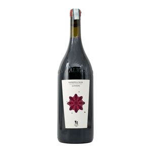Barbera d’Alba Superiore 2023 Magnum Molino