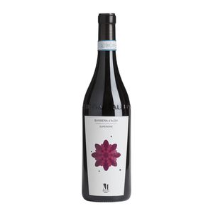 Barbera d'Alba Superiore 2023 Molino