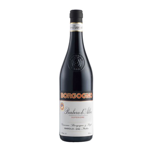 Barbera d’Alba Superiore 2023 Borgogno