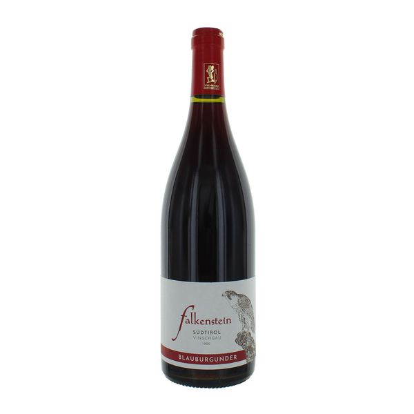 Pinot Nero 2017 Falkenstein