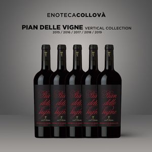 Pian delle Vigne Verticale 2015 - 2020 Marchesi Antinori