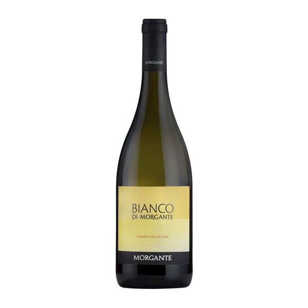 Bianco di Morgante 2024 Morgante