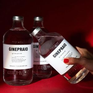 2. Organic Tuscany Dry Gin Ginepraio 