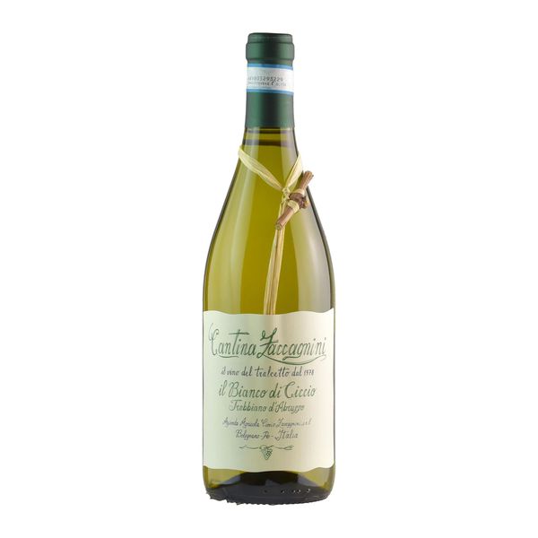 Bianco di Ciccio Tralcetto 2024 Cantina Zaccagnini