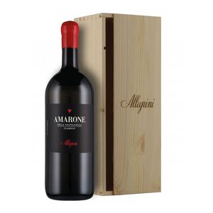 Amarone della Valpolicella 2019 Magnum Allegrini